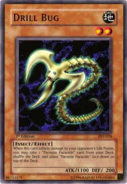 Drill Bug