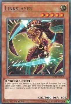 Linkslayer