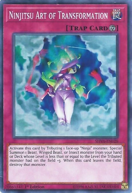 Ninjitsu Art of Transformation