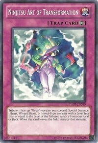 Ninjitsu Art of Transformation