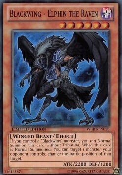 Blackwing - Elphin the Raven