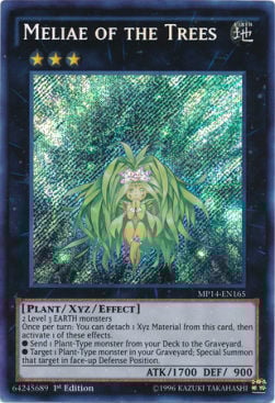 Meliae of the Trees