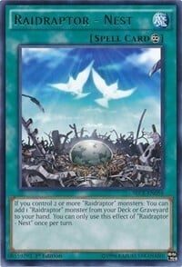 Raidraptor - Nest