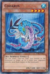 Codarus
